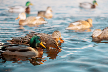 Similar image 21204199