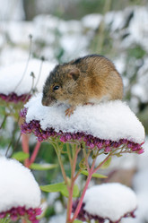 Similar image 21221452