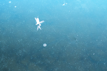 Similar image 21221453