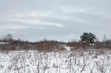 Similar image 21221456