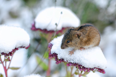 Similar image 21221459