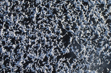 Similar image 21221461