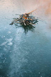 Similar image 21221465