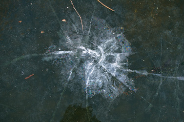 Similar image 21221516