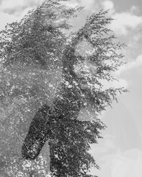 Similar image 21217289