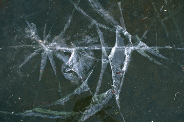 Similar image 21221525