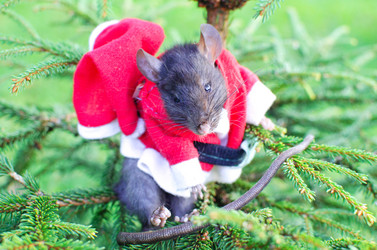 Similar image 21221528