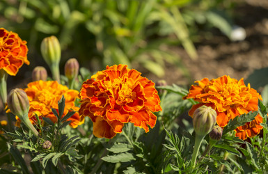 Similar image 21218979