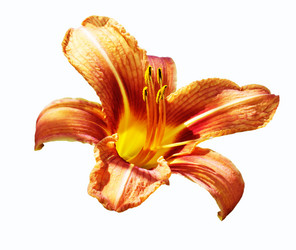 Similar image 21218980