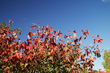 Similar image 21218983