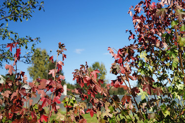 Similar image 21218985