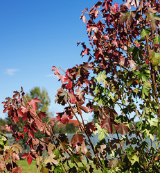 Similar image 21218987