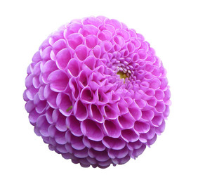 Similar image 21218988