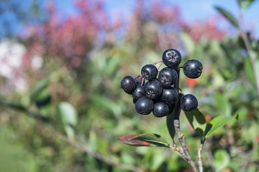 Similar image 21218989