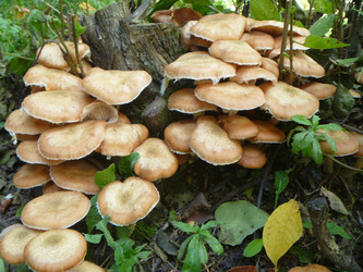 Similar image 21218990