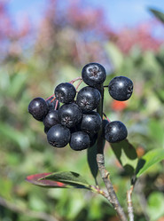 Similar image 21218991