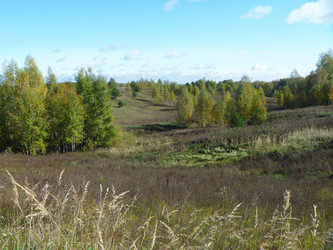 Similar image 21218992