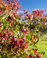 Similar image 21218995