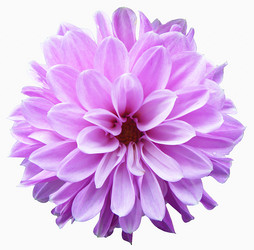 Similar image 21219002