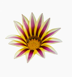 Similar image 21219003