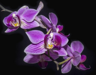 Similar image 21219005