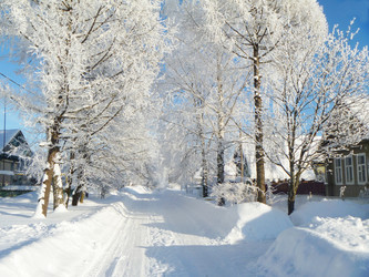 Similar image 21219007