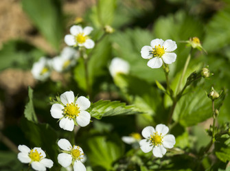 Similar image 21219008