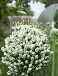 Similar image 21219012