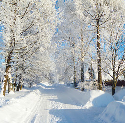 Similar image 21219013