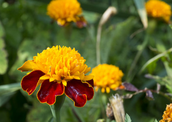 Similar image 21219014