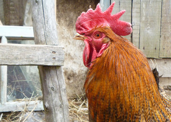 Similar image 21219018