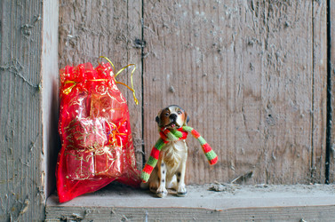 Similar image 21221545