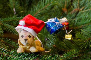 Similar image 21221555