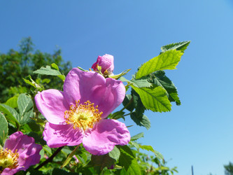 Similar image 21205593