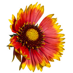 Similar image 21205594