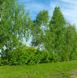 Similar image 21205595