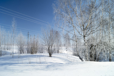 Similar image 21205874