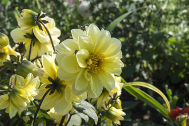 Similar image 21205876