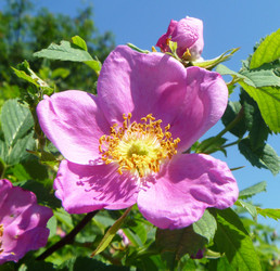 Similar image 21205878