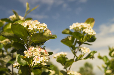 Similar image 21205880