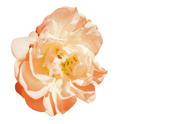 Similar image 21205882