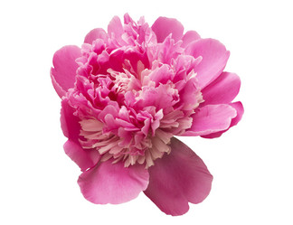 Similar image 21205883