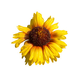 Similar image 21205888