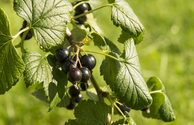 Similar image 21205892