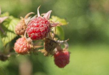 Similar image 21209000