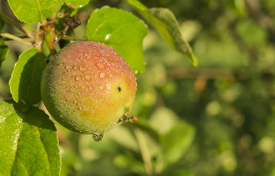 Similar image 21209001