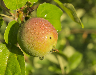 Similar image 21209003