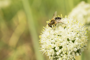 Similar image 21209004