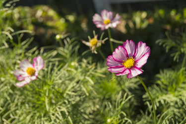 Similar image 21209008