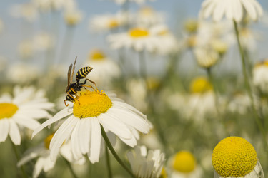 Similar image 21209024